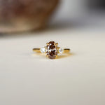Brown Diamond Oval Trilogy Engagement Ring-Engagement Rings-Wild Fawn Jewellery