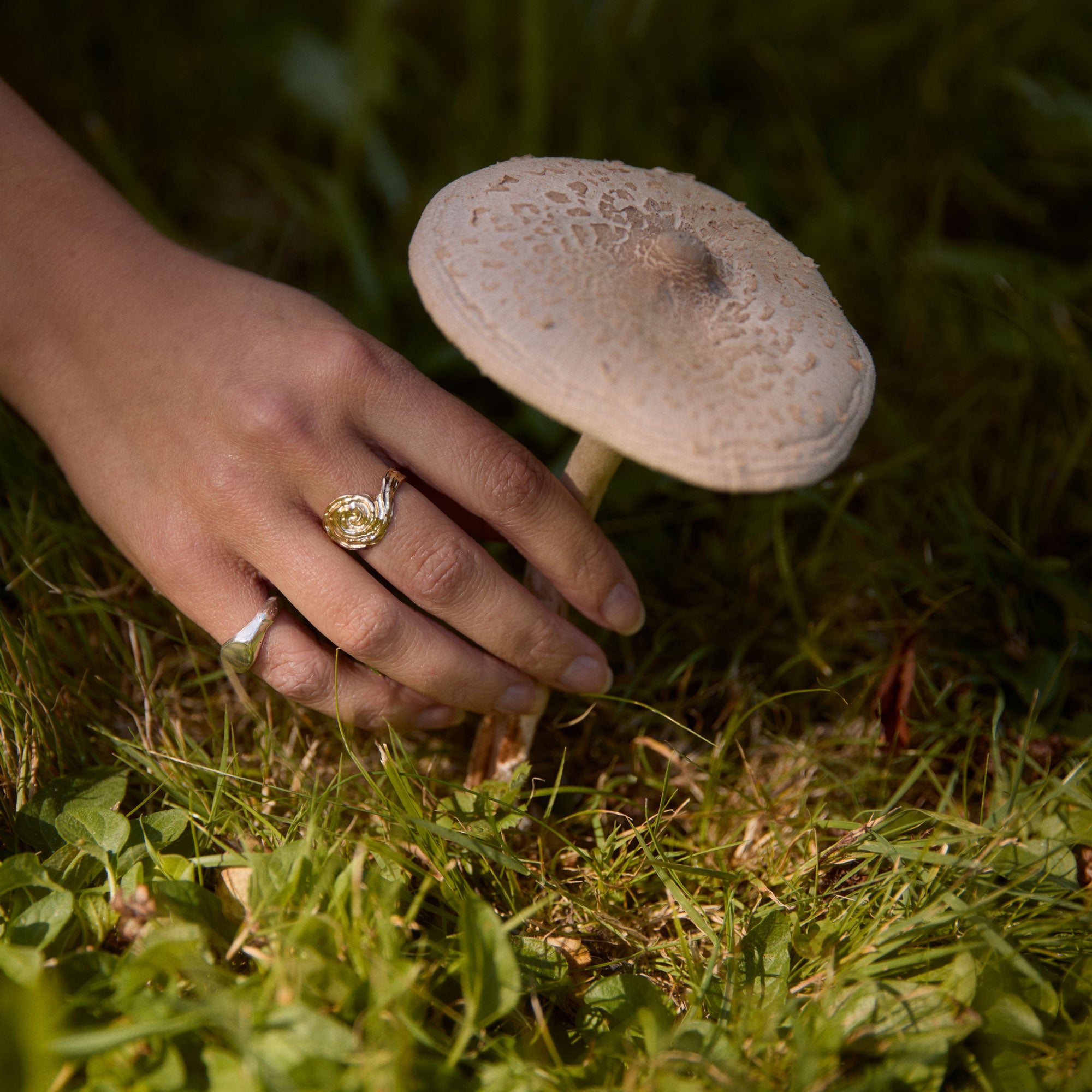 Person's hand with a ring holding a mushroom in grass