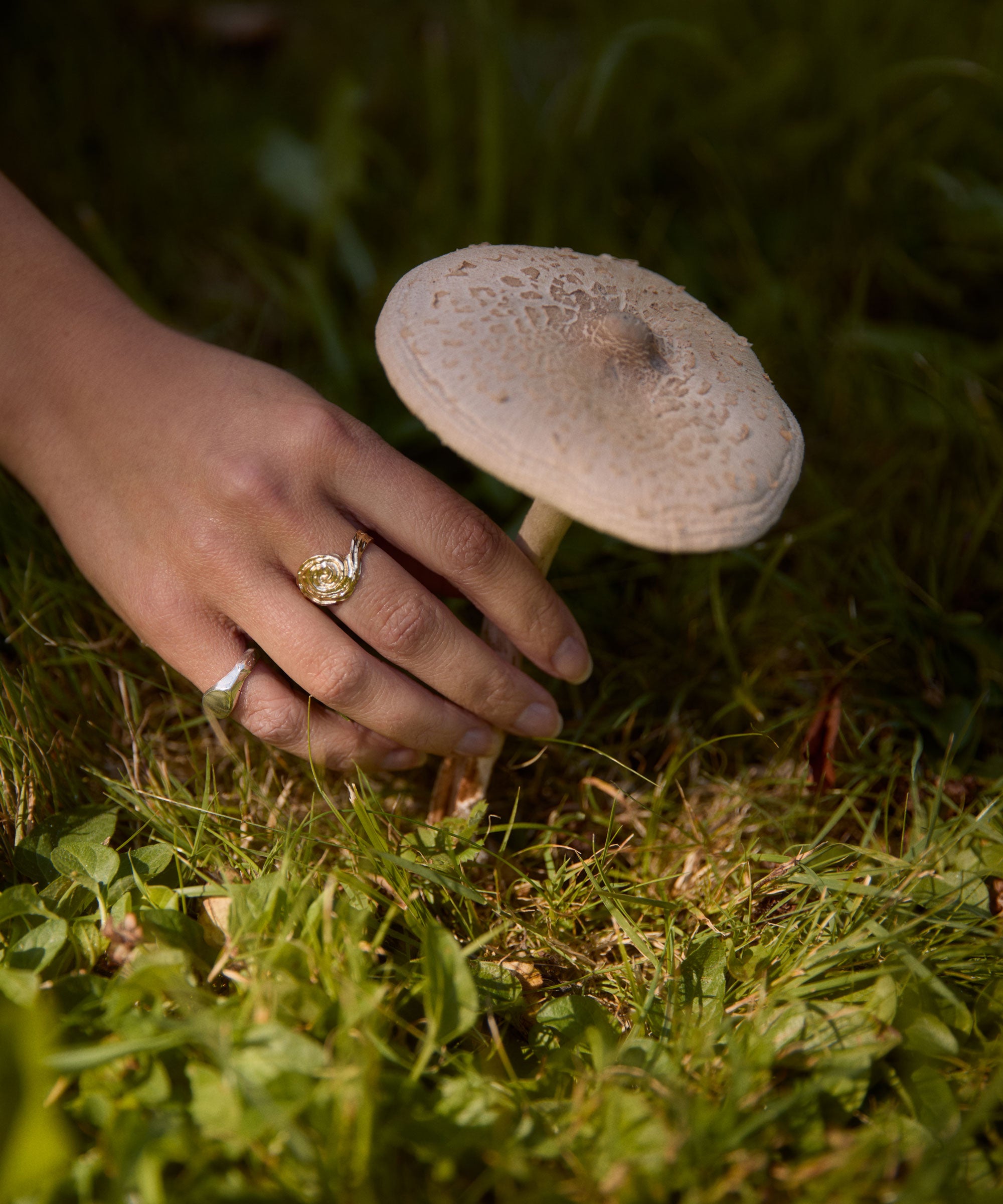 Person's hand with a ring holding a mushroom in grass