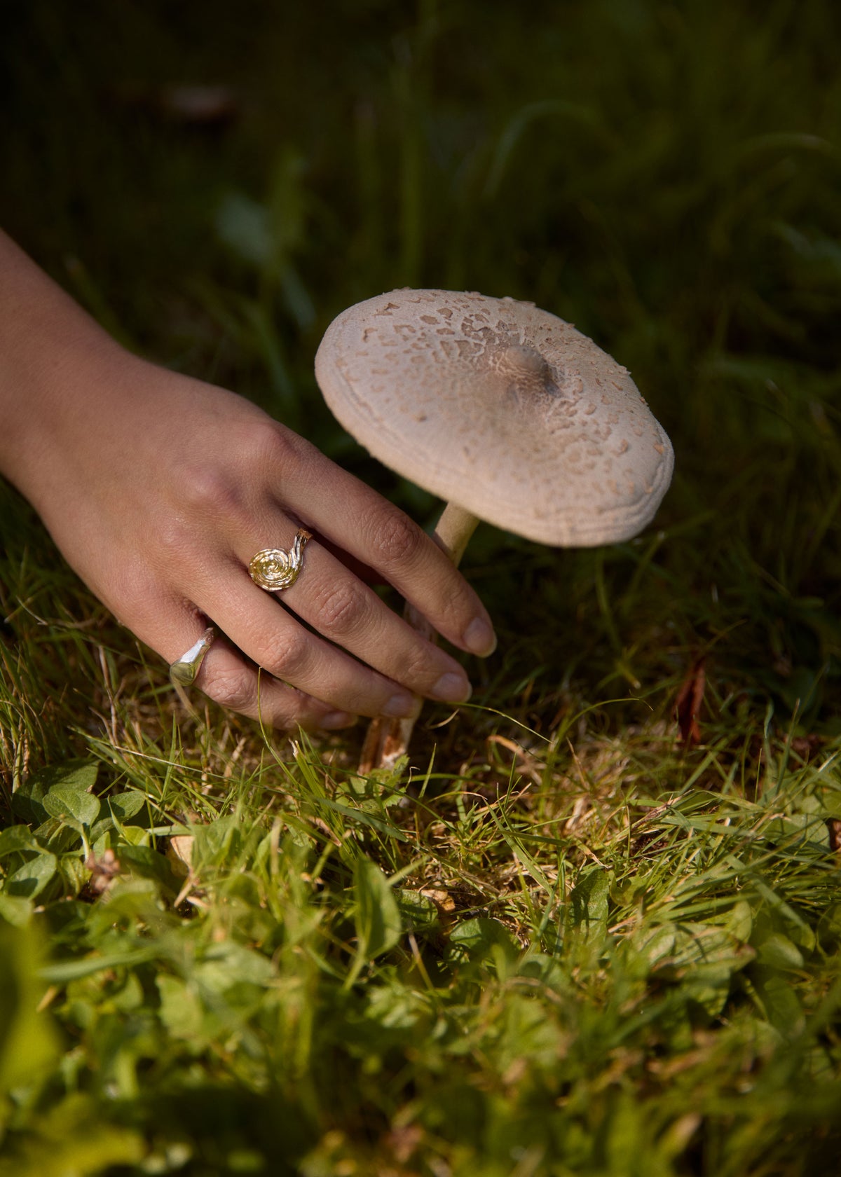 Person's hand with a ring holding a mushroom in grass