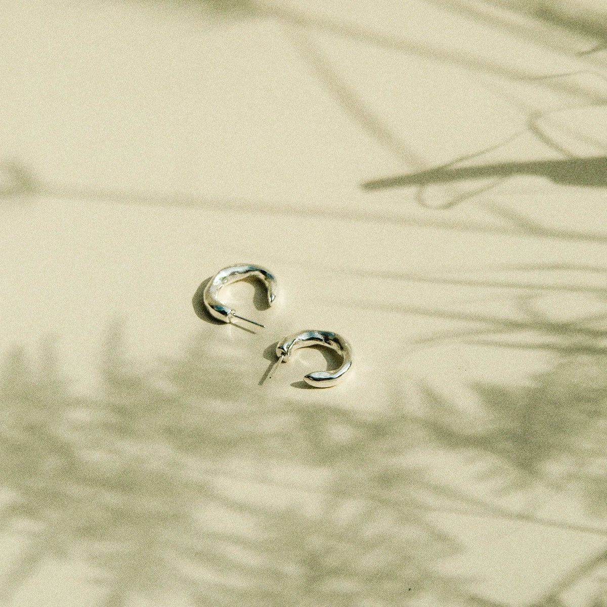 A pair of small silver hoop earrings resting on a warm beige surface with soft plant shadows cast across it.