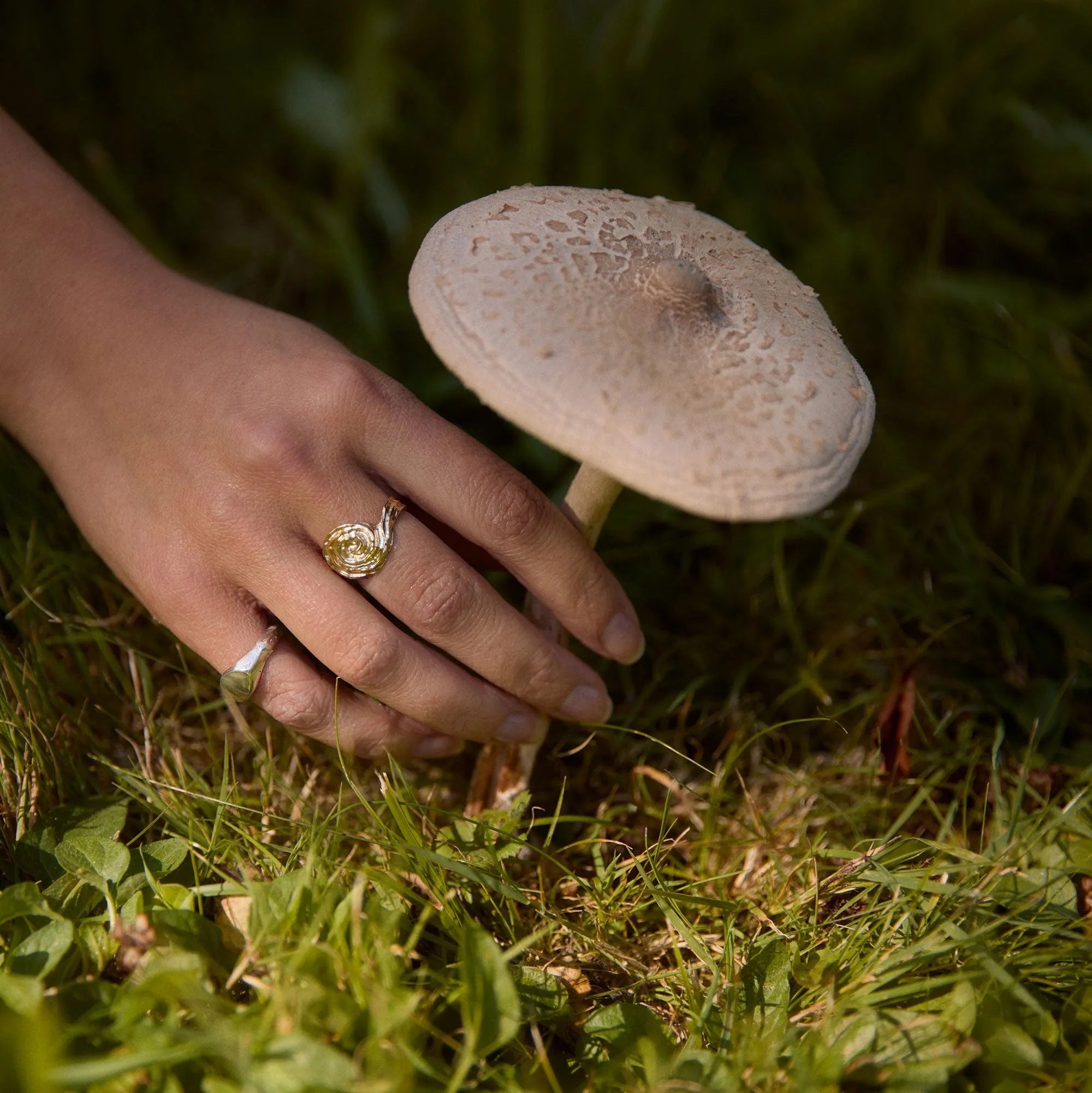 Person's hand with a ring holding a mushroom in grass
