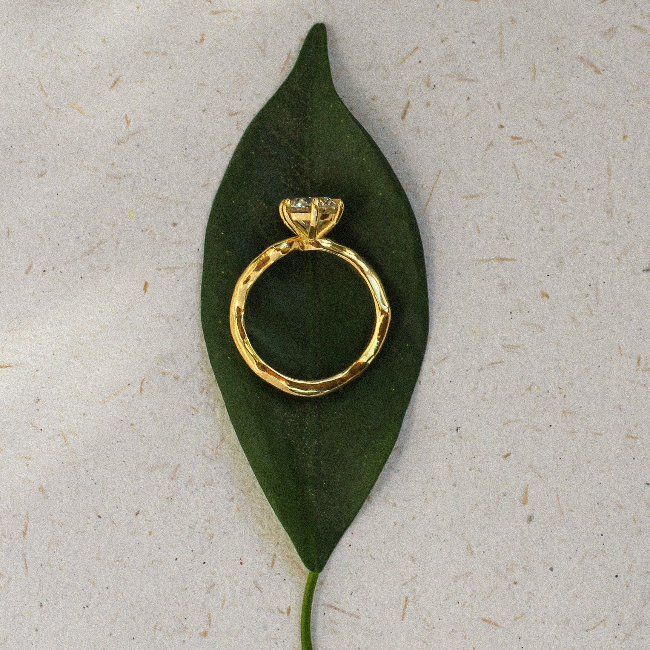 Gold ring on a green leaf against a light gray background
