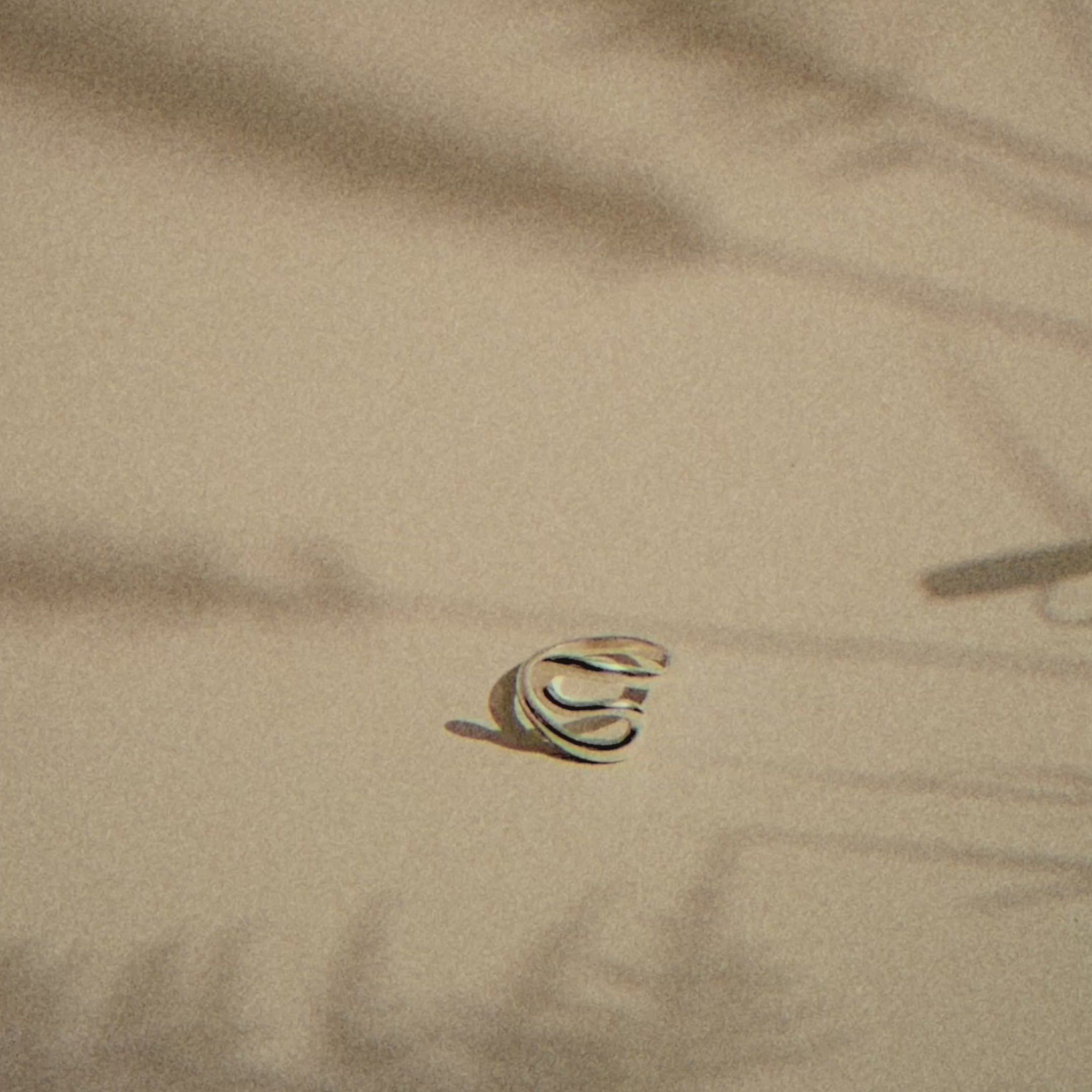 s-shaped silver ring with moving plant shadows