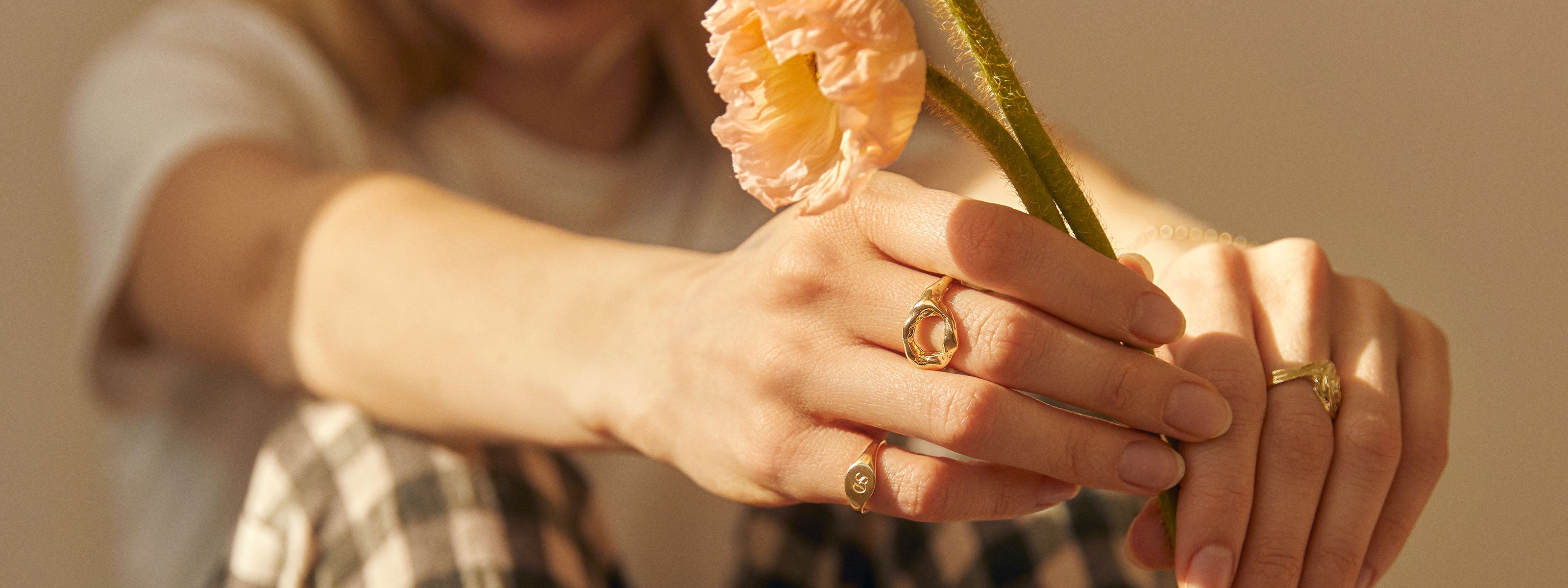 hand wearing gold rings holding a flower in the sunlight 