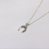 Silver Luck Necklace